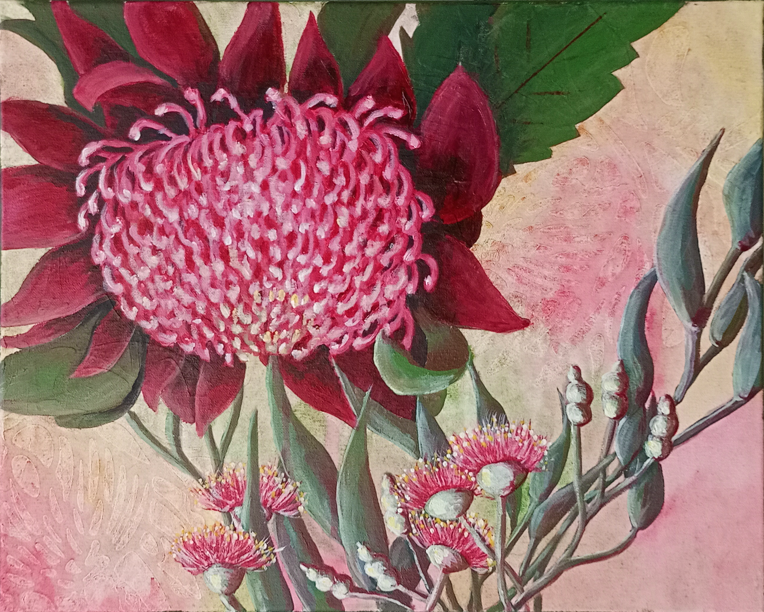 Oil painting of a waratah flower with native eucalyptus blossoms