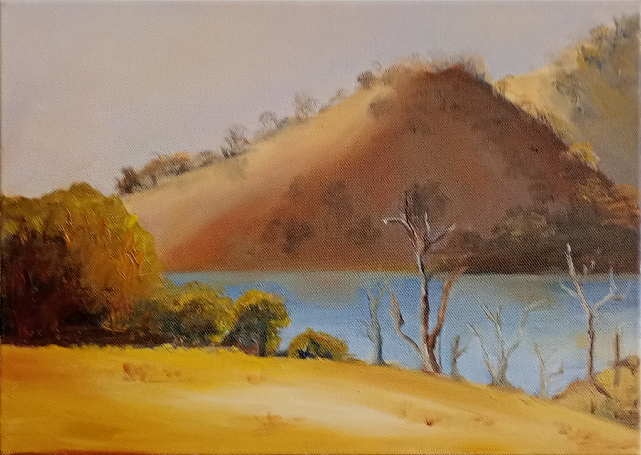 Oil painting of an Australian hillside and river with dead gum trees